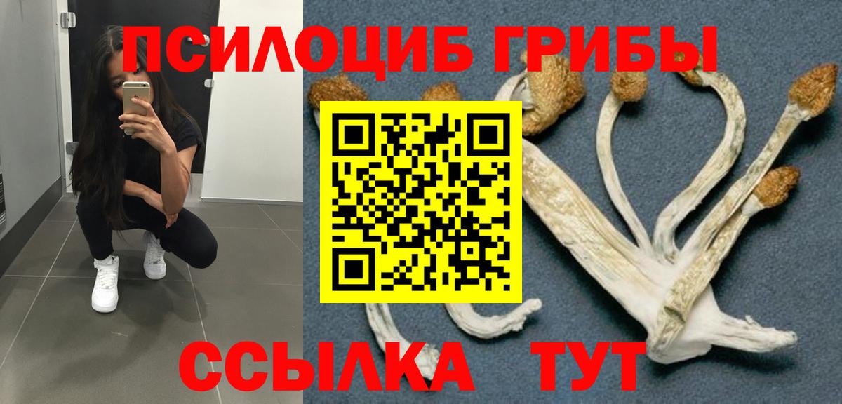 Псилоцибиновые грибы Cubensis  Вход с VPN  наркотики  Дубна 